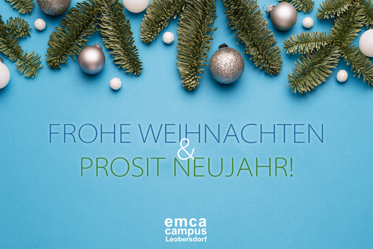 Frohe Weihnachten und Prosit Neujahr